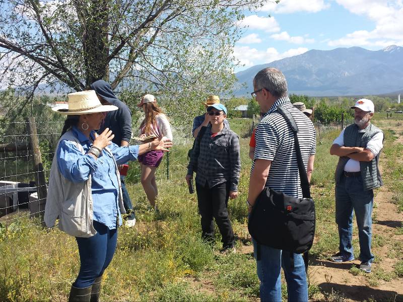 Academic Credit Courses - 2017