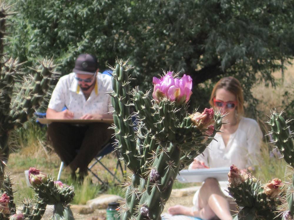 Academic Credit Courses - 2015