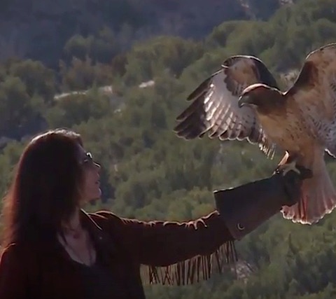 Jill Momaday Jill Momaday - Visiting Scholar