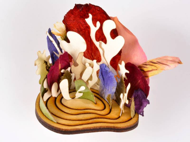 Artist Talk and Workshop