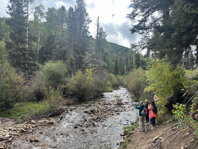Leisure learning group hiking in New Mexico