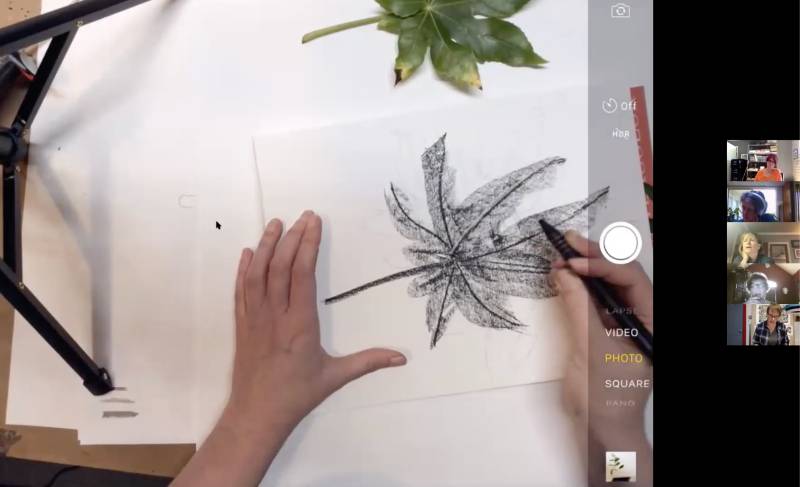 Floral Exploration: Botanical Drawing at Home | Sara Schneckloth Floral Exploration: Botanical Drawing at Home | Sara Schneckloth