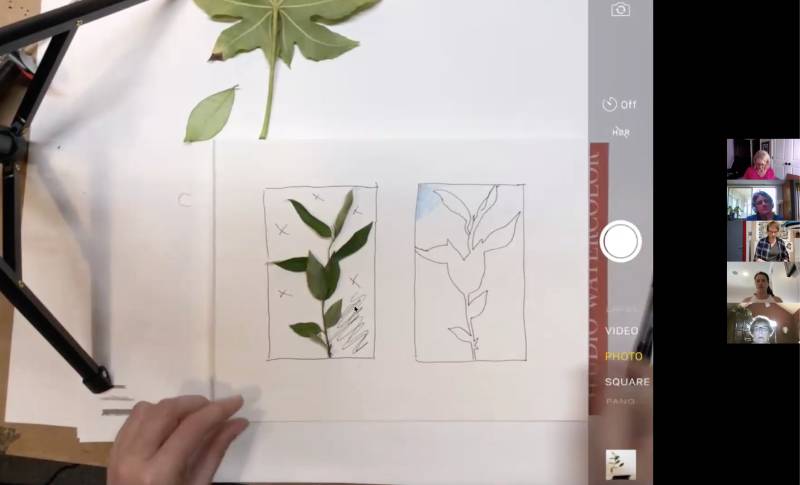 Floral Exploration: Botanical Drawing at Home | Sara Schneckloth